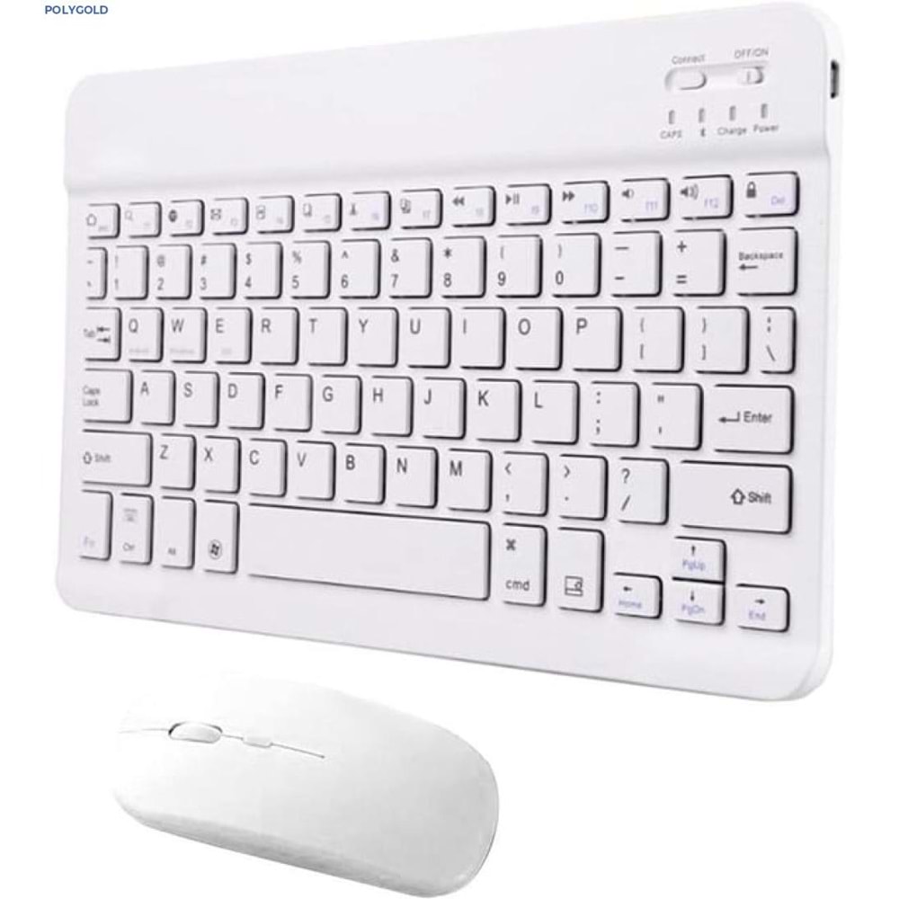 POLYGOLD PG-8032 MİNİ MOUSE KLAVYE