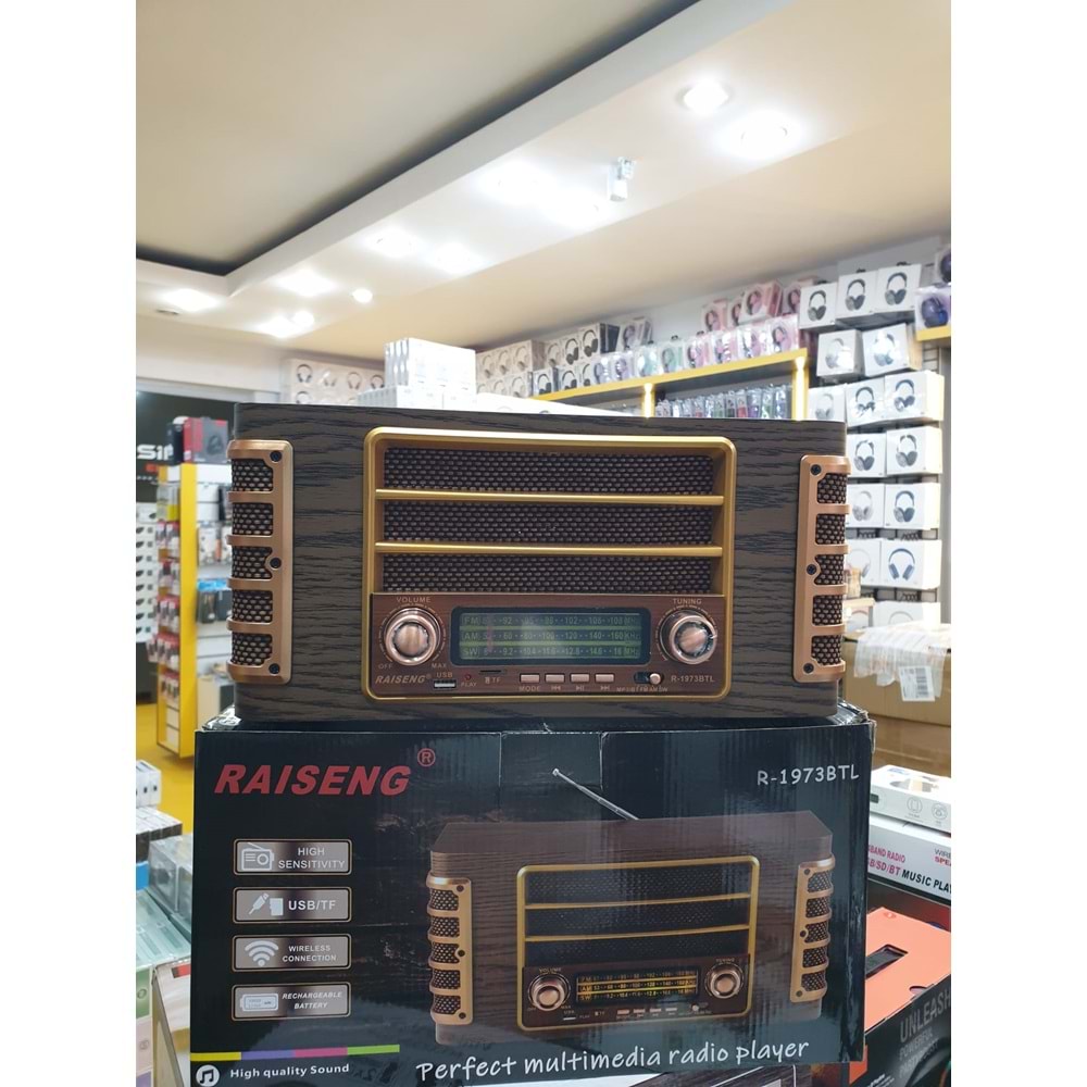 RAISENG R-1973 RADIO