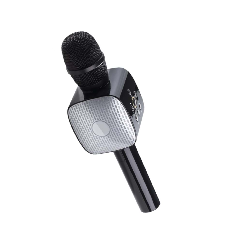 LİNK SM05 KARAOKE MİCROFON