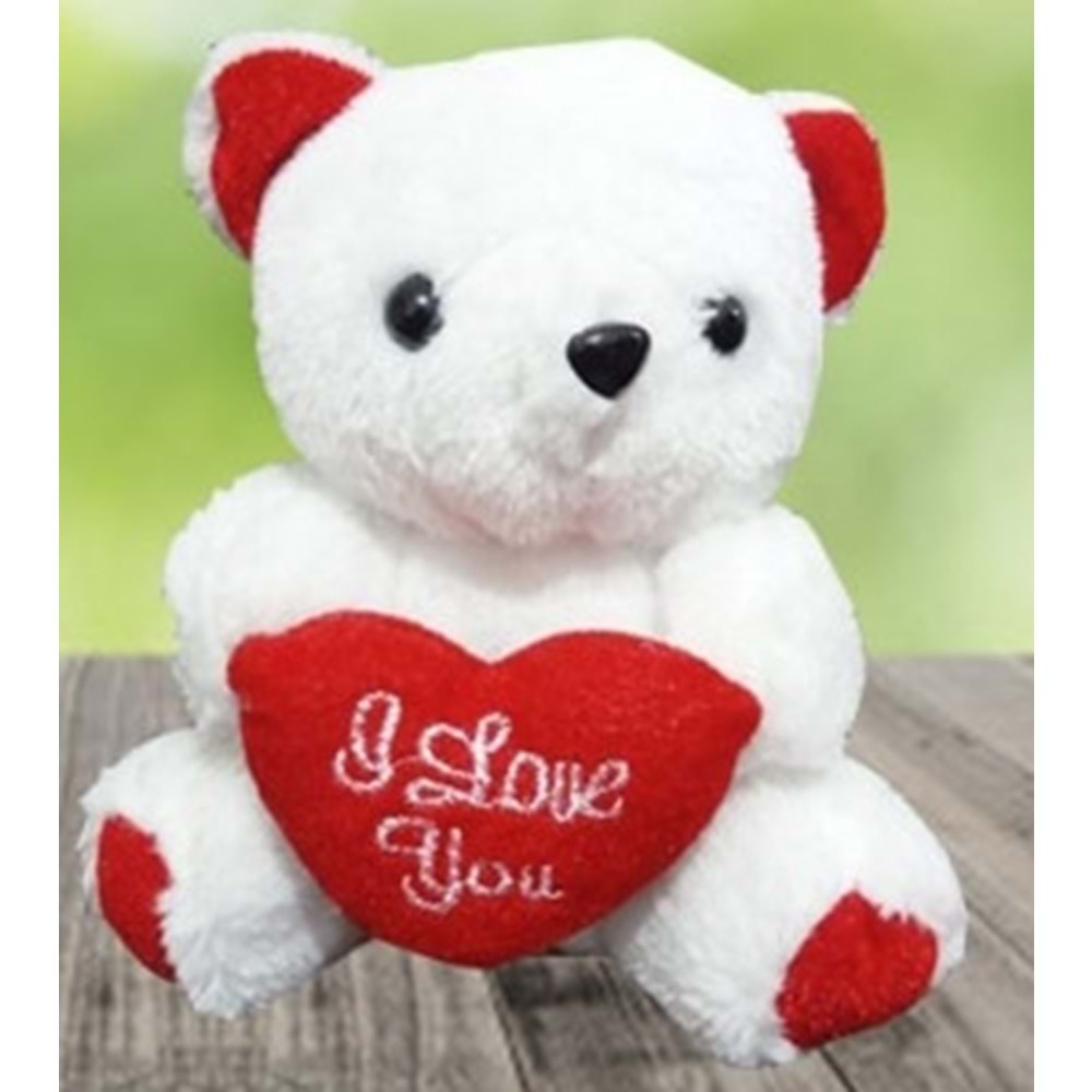 MİNİK PELUŞ AYICIK