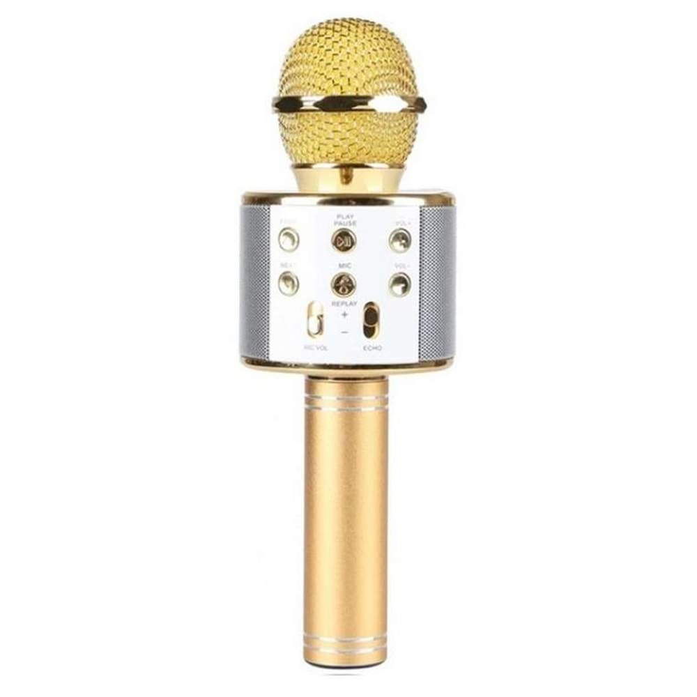 AURİS WS-858 GOLD KARAOKE MICROFON