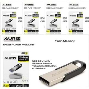 AURIS 128GB METAL FLASH BELLEK