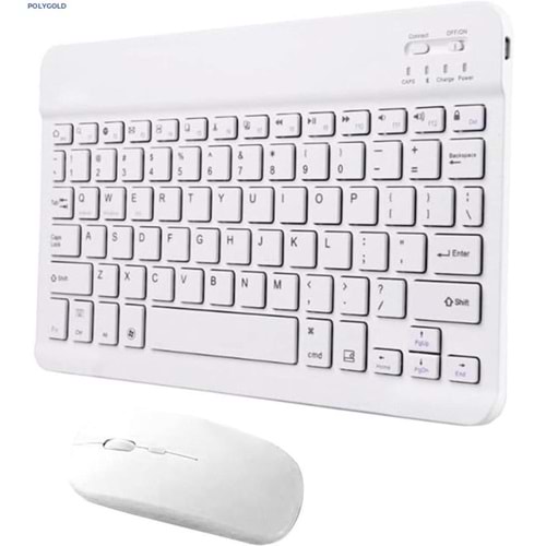 POLYGOLD PG-8032 MİNİ MOUSE KLAVYE