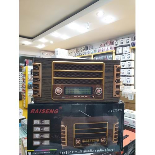 RAISENG R-1973 RADIO