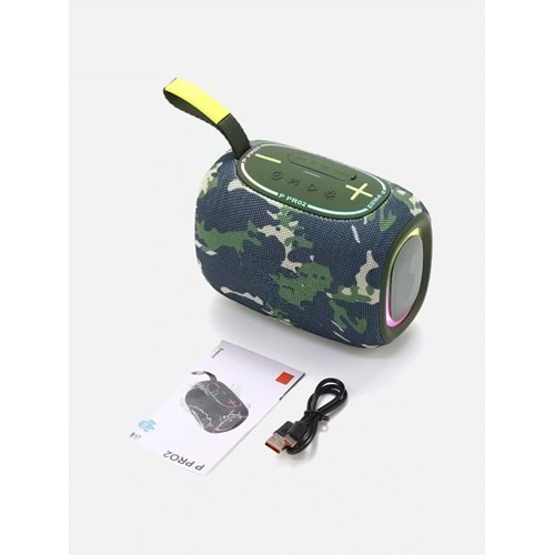 GLR P PRO2 SPEAKER