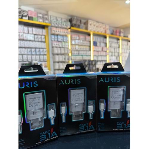AURIS CH05 17W 3.1A TYPE C SET