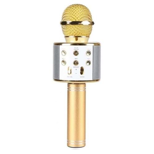AURİS WS-858 GOLD KARAOKE MICROFON